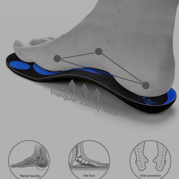 categoria plantillas